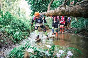 BIB: 
                            <button type="button" onclick="openModal(25517384)" class="btn btn-primary btn-sm float-right btn-popup" data-toggle="modal" data-target=".modal-high-quality">
                        <i class="fas fa-shopping-cart"></i> Add to Cart
                    </button>
                                            <button type="button" onclick="isThisMe(25517384, true)" class="btn btn-success btn-sm float-right btn-popup btn-isme hidden" data-toggle="tooltip" data-placement="bottom" title="นี่คือรูปของคุณใช่ไหม คลิกที่นี่เพื่อเอาเข้าอัลบั้ม">
                        <i class="fas fa-plus"></i> Add to album
                    </button>
                    <button type="button" onclick="isThisMe(25517384, false)" class="btn btn-warning btn-sm float-right btn-popup btn-isnotme hidden">
                        <i class="fas fa-ban"></i> Remove from album
                    </button>